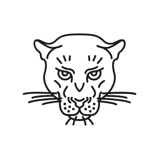 Logo de l'agence web de Lyon : La Panthère